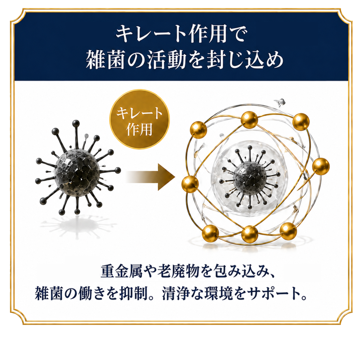 フルボ酸のキレート作用