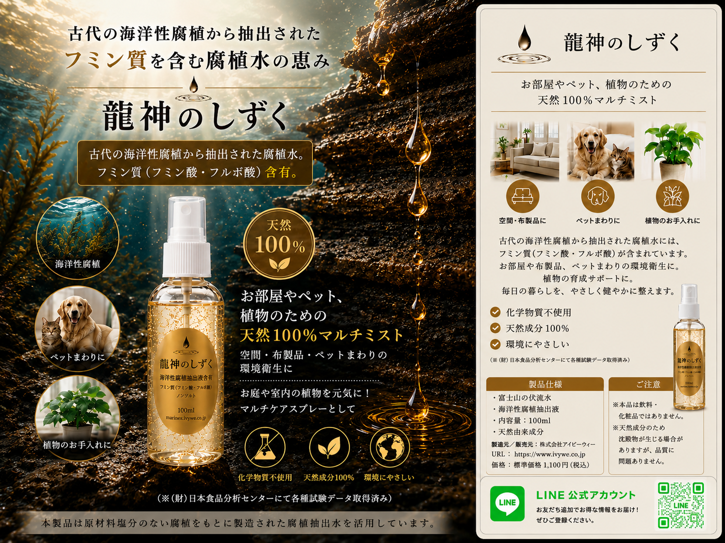龍神のしずく フライヤー